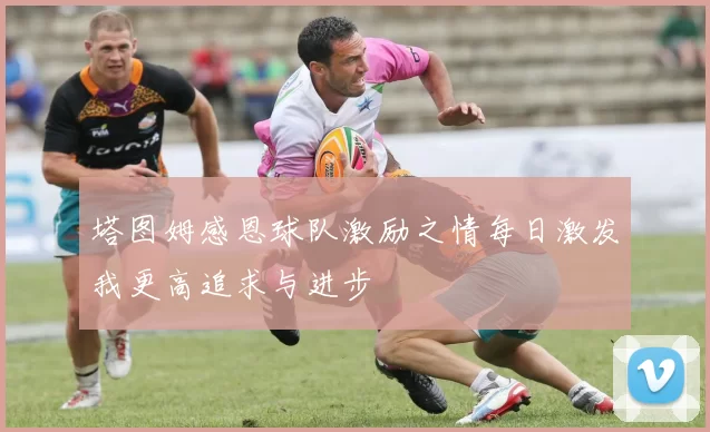塔图姆感恩球队激励之情每日激发我更高追求与进步